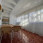 Apartman Modern In Torrevieja